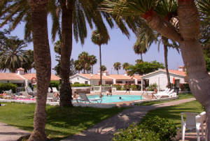 santafepooltrees.jpg
