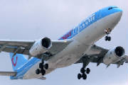 tuiplane.jpg